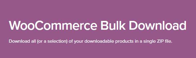 Extensões do WooCommerce - WooCommerce Bulk Download