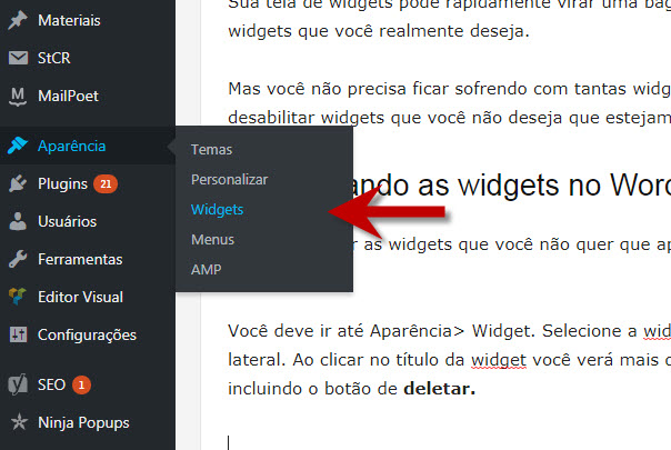 aparencia-widgets-caminho